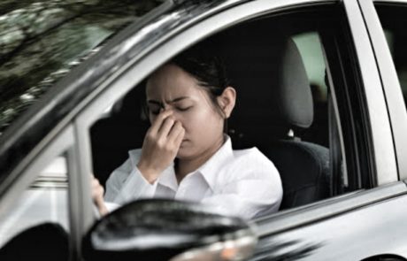 gas smell in car, car smells like gas